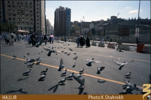 خداحافظي با بازارهاي قديمي و صدها هتل در مكه مكرمه