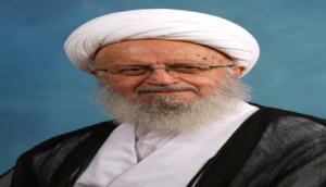 در پیام آیت‌‌‎الله العظمى مکارم شیرازى تاکید شد:

رای‌دهندگان فرد اصلح را با مشورت انتخاب کنند