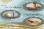 مدینه غرق در نور میلاد سه نور؛

ولادت ۹ معصوم در مدینه؛ ماهی که مدینه به گُل نشست