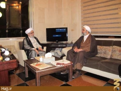 ديدار نماينده بعثه  با عضو مجلس خبرگان رهبري + عكس