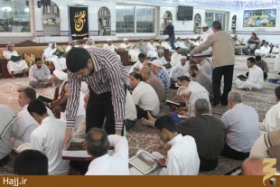 جشن ميلاد امام رضا در بين شيعيان مدينه/ عكس