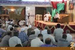 جشن ميلاد امام رضا در بين شيعيان مدينه/ عكس