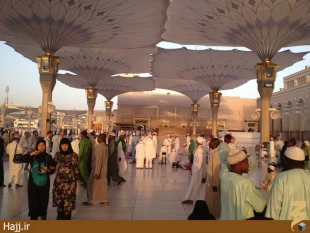 گزارش تصويري از صبح مدينه منوره ۲