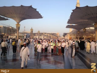 گزارش تصويري از صبح مدينه منوره ۲