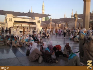 گزارش تصويري از صبح مدينه منوره ۲