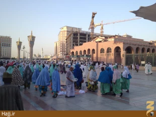 گزارش تصويري از صبح مدينه منوره ۲