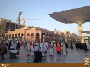 گزارش تصويري از صبح مدينه منوره ۲