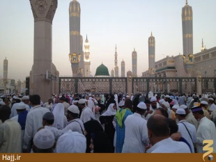 گزارش تصويري صبح مدينه النبي