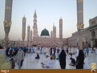 گزارش تصويري صبح مدينه النبي