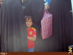 توزيع غذاي حرم حضرت عباس