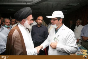 ديدار مردمي سرپرست حجاج ايراني با زائران/عكس
