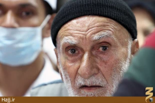ديدار مردمي سرپرست حجاج ايراني با زائران/عكس