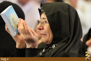 سومين مراسم دعاي ندبه زائران در مدينه/عكس