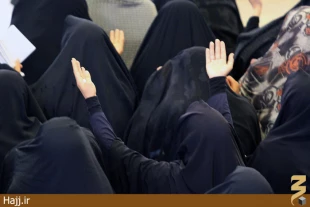 سومين مراسم دعاي ندبه زائران در مدينه/عكس