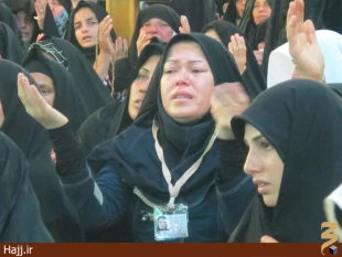 حضور پر شور جوانان در دعاي كميل