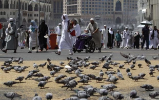 حج از نگاه خبرگزاري رويترز