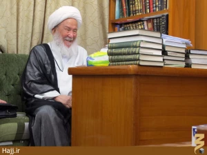 دیدار نماینده بِعثه با آیت الله فیاض در نجف + تصاویر