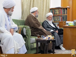 ديدار نماينده بِعثه با آيت الله فياض در نجف + تصاوير