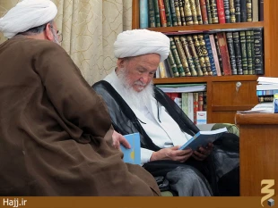 ديدار نماينده بِعثه با آيت الله فياض در نجف + تصاوير