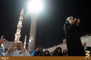 مناجات فرشتگان در کمیل مدینه  عکس