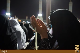 مناجات فرشتگان در كميل مدينه/ عكس