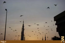 تصاوير شما/ تصاويري از مكه و مدينه و زائران