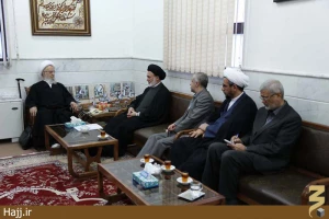 دیدار سرپرست حجاج ایرانی و رئیس سازمان حج با آیت الله مکارم شیرازی عکس