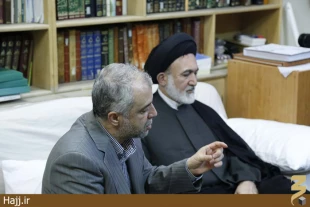 ديدار سرپرست حجاج ايراني و رئيس سازمان حج با آيت الله صافي گلپايگاني/عكس