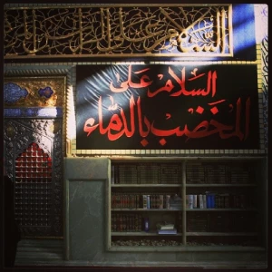 تصاوير اين روزهاي حرم مطهر امام حسين(ع)