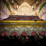 تصاوير اين روزهاي حرم مطهر امام حسين(ع)