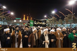 گزارش تصويري از  «موكب امام رضا»ايرانيان در كربلا 