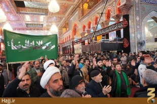 گزارش تصويري از  «موكب امام رضا»ايرانيان در كربلا 