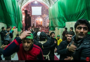 اربعين همايش عشق و بصيرت در كربلاي معلي+تصاوير