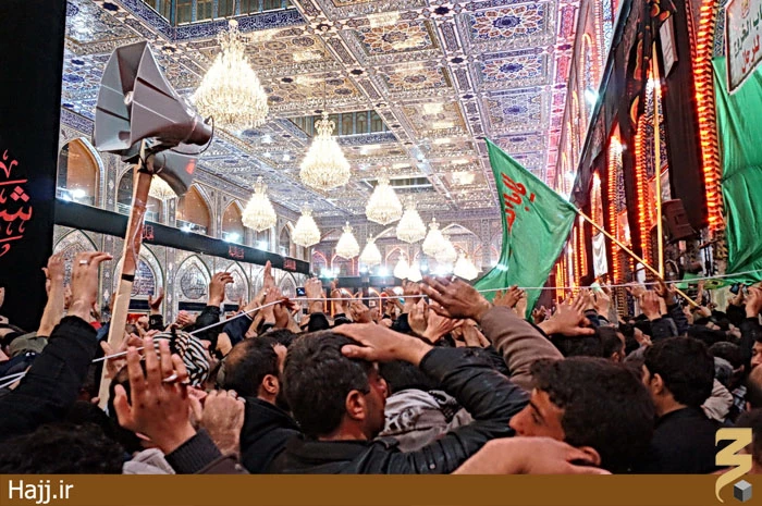 تصاوير جديد از موكب امام رضا ايرانيان در كربلاي معلي