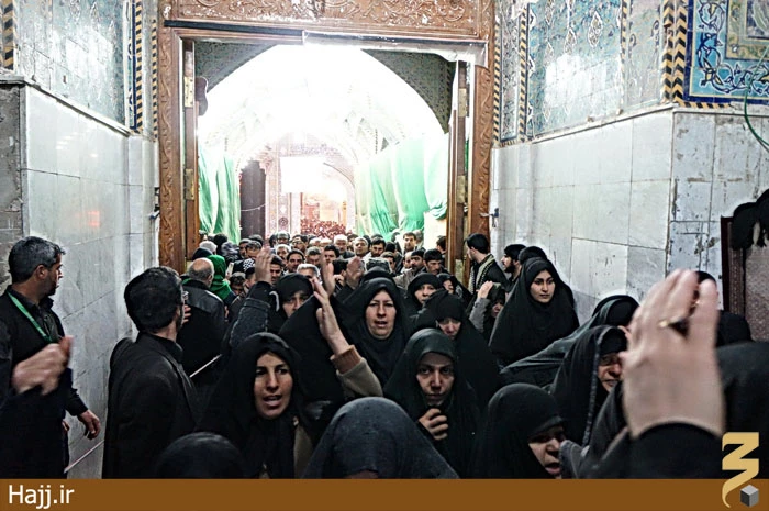تصاوير جديد از موكب امام رضا ايرانيان در كربلاي معلي