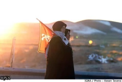 پياده روي زائران امام رضا به سوي مشهد مقدس/تصاوير