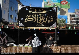 تصاوير:راهپيمايي شيعيان از نجف به كربلا/روزگذشته