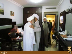 سفر آيت‌الله تسخيري به عربستان+تصاوير