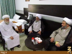 سفر آيت‌الله تسخيري به عربستان+تصاوير