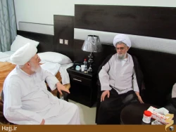 سفر آيت‌الله تسخيري به عربستان+تصاوير