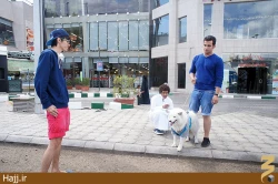 آيا باورتان مي‌شود اينجا مدينه است+تصوير