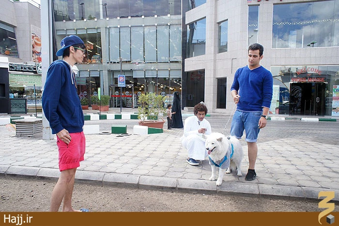 آيا باورتان مي‌شود اينجا مدينه است+تصوير