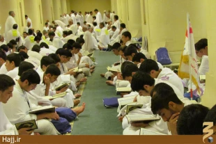 حلقه‌هاي قرآني در مسجدِ شجره + تصاوير