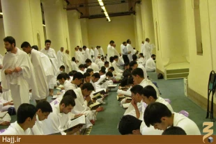 حلقه‌هاي قرآني در مسجدِ شجره + تصاوير