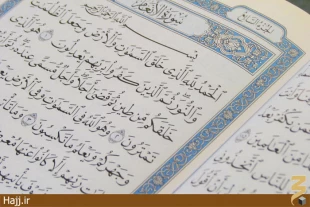 حلقه‌هاي قرآني در مسجدِ شجره + تصاوير