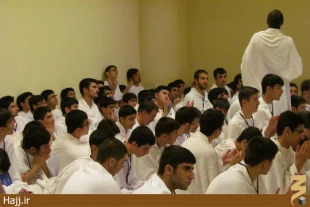 حلقه‌هاي قرآني در مسجدِ شجره + تصاوير