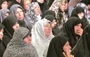 ام‌البنين از مدينه مهمان سه روزه حرم امام رضا شد