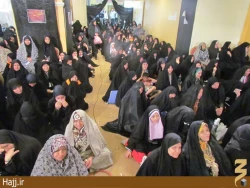 ام‌البنين از مدينه مهمان سه روزه حرم امام رضا شد