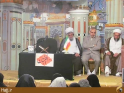 ام‌البنين از مدينه مهمان سه روزه حرم امام رضا شد