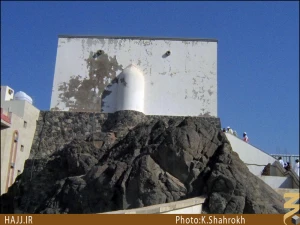 گزارشی از زیارت دوره زایران ایرانی در مدینه منوره
